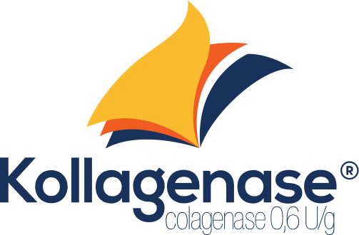 Kollagenase: tratamento de feridas